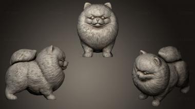 3D model Cute Pomerranian (STL)